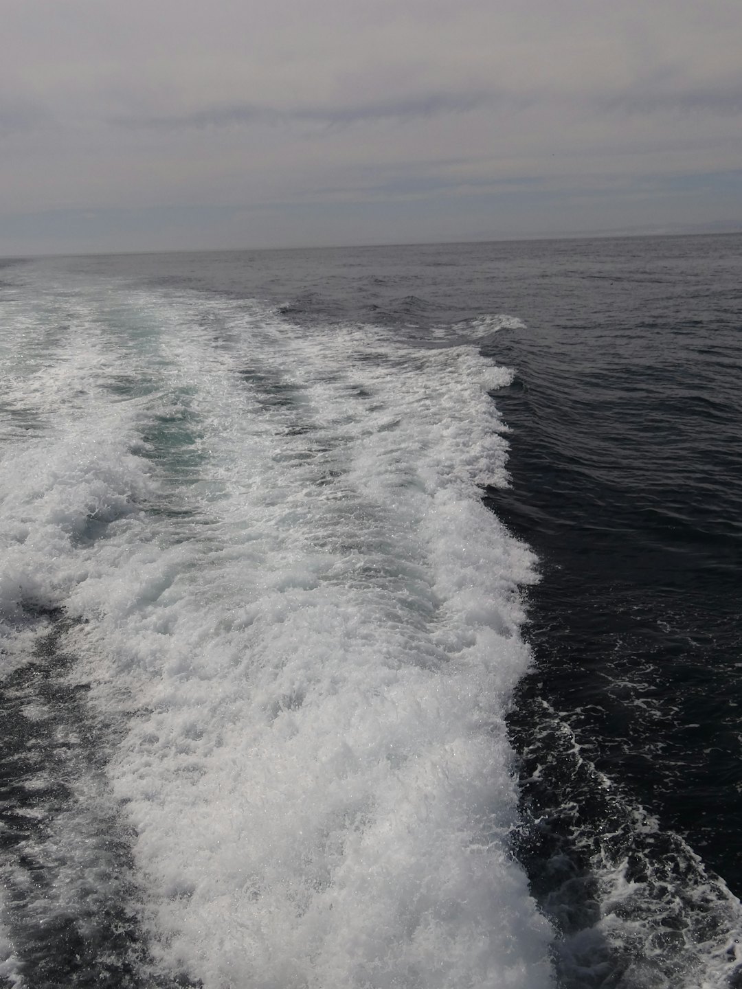 White foamy boat wake trailing across dark ocean water.