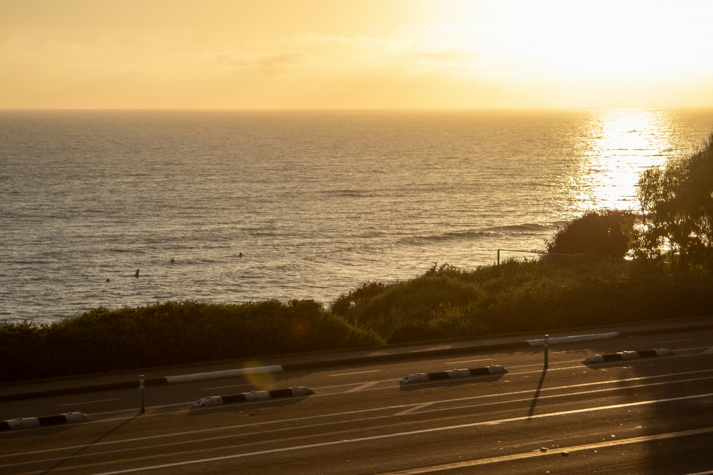 Surfers ride waves in the ocean near a coastal road.